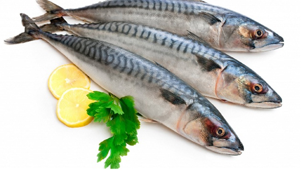 Trong cá chứa một lượng lớn omega 3 tốt cho sức khỏe